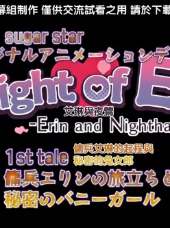 [自行打包] Knight of Erin 骑士艾琳动漫4集全+游戏（pc） [4v+1.5g][百度秒传]