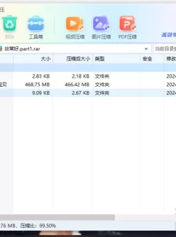 [自行打包] 20240912录制--非常好的宝贝 [1V+0.46G][百度盘]